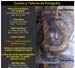 cursos