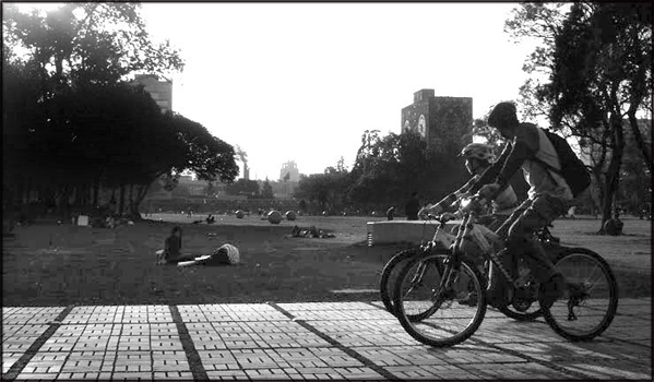 21angeles callajas rebeca3