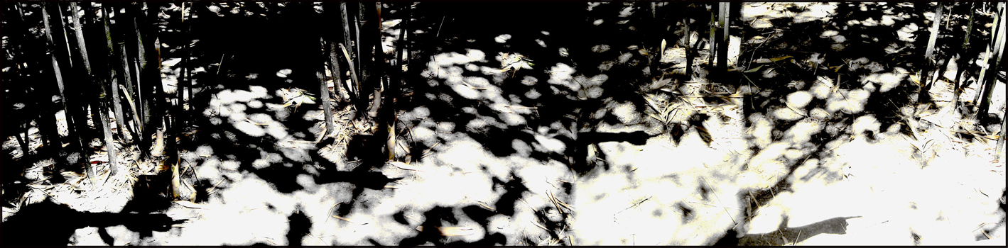 70Maghaly Carrasco 8