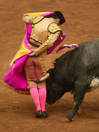 toros01